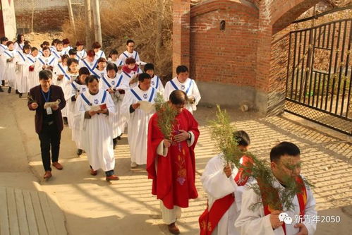 震驚 神秘活動(dòng)導(dǎo)致不到一周感染近300例